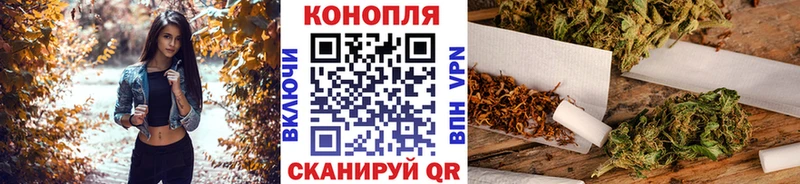 Бошки Шишки планчик  Каргат 